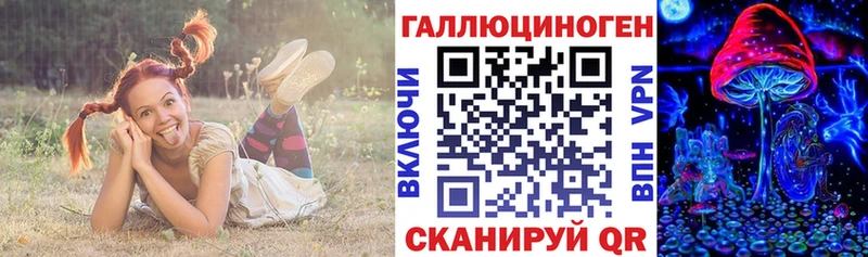 даркнет сайт  гидра онион  Галлюциногенные грибы Magic Shrooms  Грозный 
