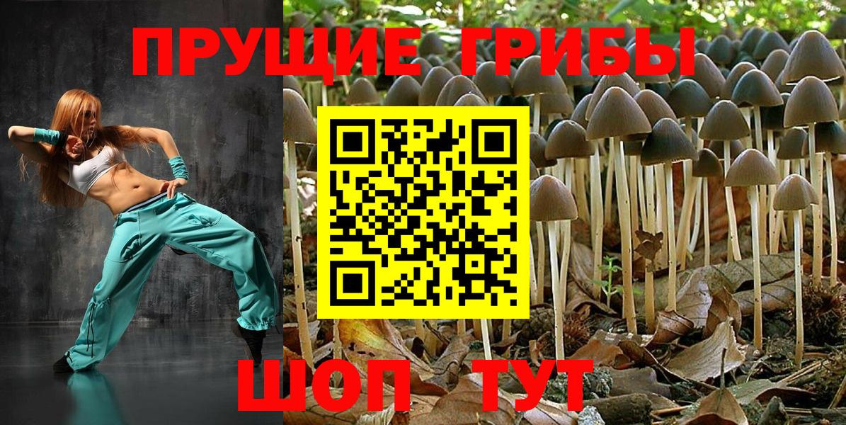 Галлюциногенные грибы ЛСД  Галлюциногенные грибы GOLDEN TEACHER  Вход с VPN  Грозный 